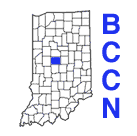 BCCN Logo