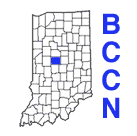 Small BCCN Logo